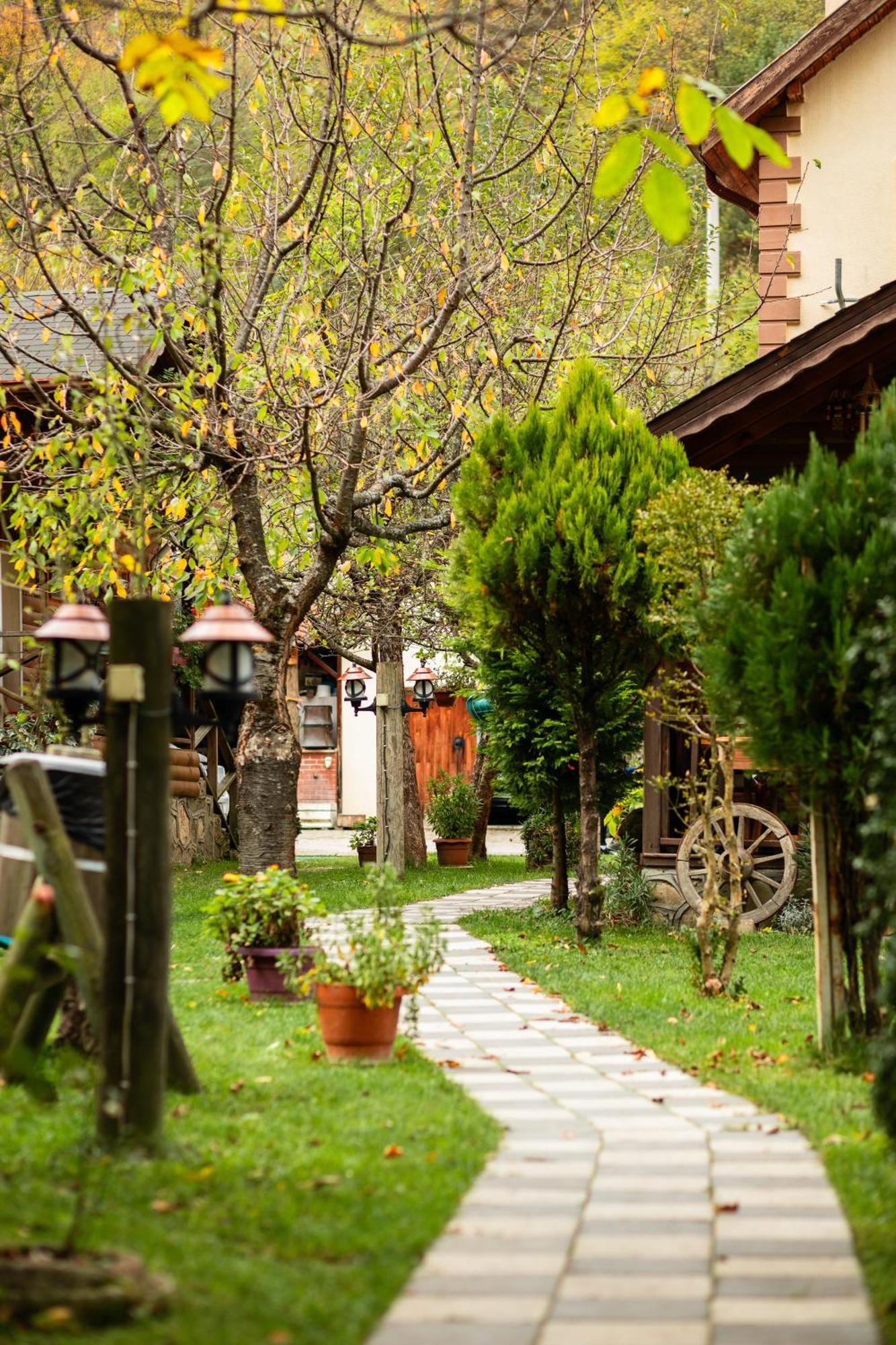 Abant Doga Koeskue Bed & Breakfast Bolu Eksteriør bilde